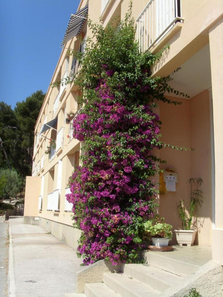 - T3 Climatise Et Vue * Cassis